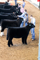 Iowa Beef Expo 2013-welter