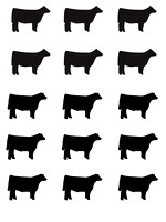 heifer-steersilhouette