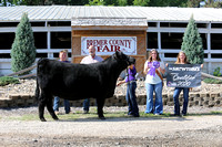 Bremer Co Beef Show