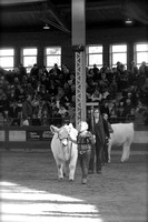 2012 Iowa Beef Expo-Neil