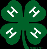 4h_green_clover_png