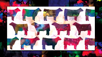 colorcattlecheckerboard36x20fl