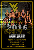 AAUstatequalifiers