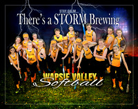 Wapsie Valley Softball 2016 5th-6th grade