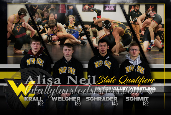StateQualifiers18