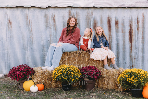 23 WILLWERTH FAMILY 229A2642