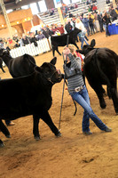 favorites selected - includes cattle pics