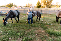 W HORSES 24 KJW_6974