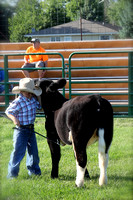 Bremer County Open Show