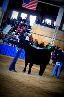 2012 Iowa Beef Expo-Welter