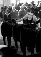 2011 Iowa Beef Expo copies for fb slideshow