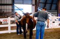 229A0655 2022 CLAY CO CATTLE SHOW