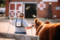 229A0623 2022 CLAY CO CATTLE SHOW